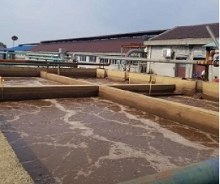 出水氨氮大于進水氨氮，怎么回事？